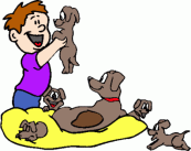 animal play