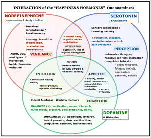 MY hormone interactions