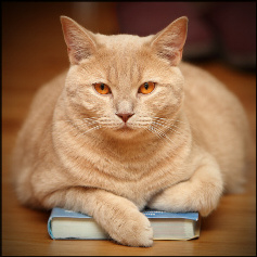 personal-growth_5524