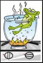 boiled frog syndrome