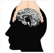squeeze my brain
