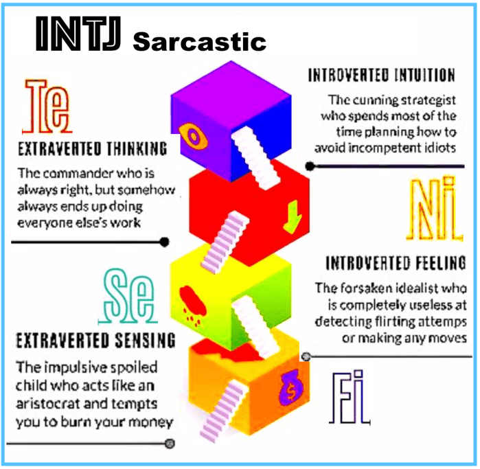 MBTI 4 Functions of INTP & INTJ (3a) | HEAL & GROW for ACoAs
